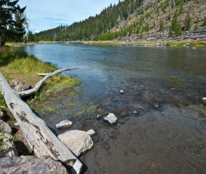 Madison River Fly Fishing Spot
