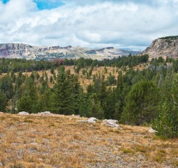 Beartooth Butte from Near Bird Mountain